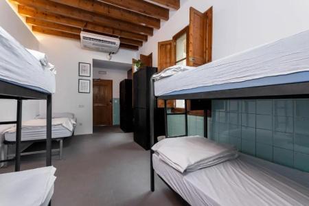 Urban Hostel Palma - Albergue Juvenil - Youth Hostel - 55
