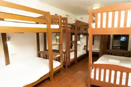 Past Tense Hostel - 0