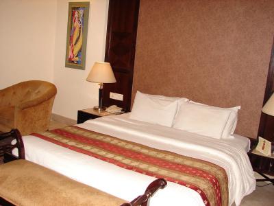 V Sarovar Portico MI Road - 3