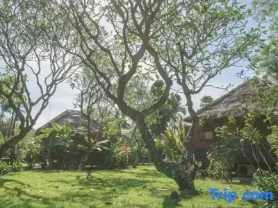 Bann Pae Cabana - 54