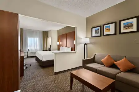 Comfort Suites University Las Cruces - 6