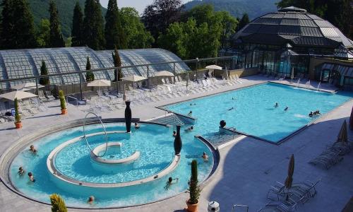 Behringer's Traube - 14