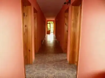 Nugo - 15