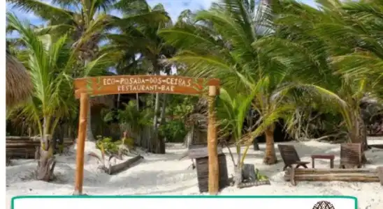 Dos Ceibas Tulum Feel Good - 19