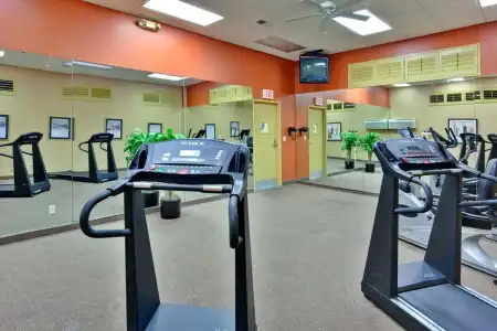 Holiday Inn Los Angeles - LAX Airport by IHG - 14