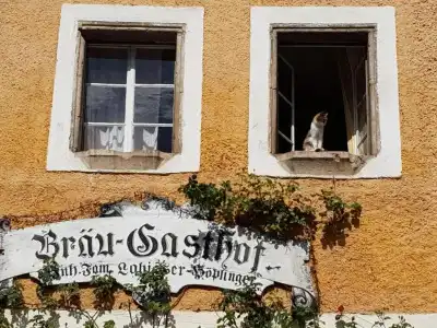 Brugasthof  Gasthaus - 0