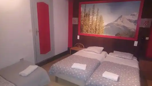 Hôtel de Savoie - 20
