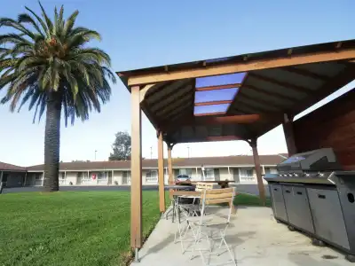 Golden Palms Motel - 10