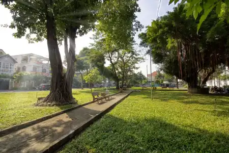 Nhu Y 2 - 14
