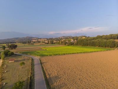 Agriturismo Borgo Pulciano in Montone - 16