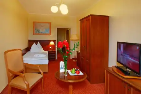 Danubius Health Spa Resort Centrální Lázne - 50