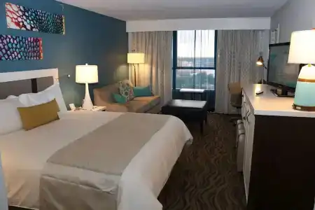 Wyndham Garden Lake Buena Vista – Disney Springs® Area - 108