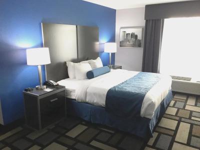 Best Western Plus Birmingham Inn  Suites - 3