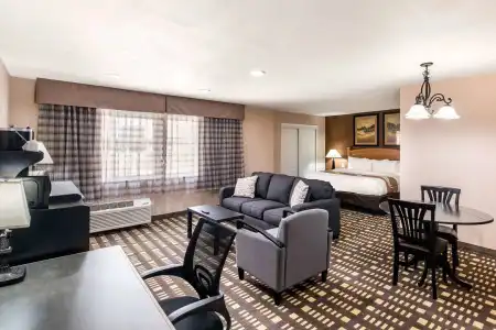 Quality Inn & Suites Plano East - Richardson - 7