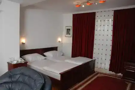 Vila Lux Milikic - 20