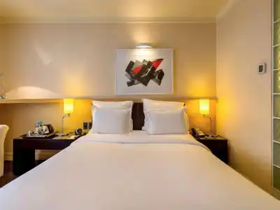 Pullman Sao Paulo Ibirapuera - 62