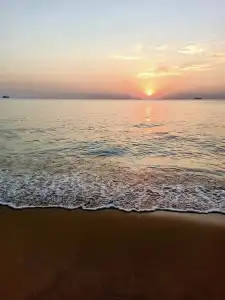 Orange Resort - 278