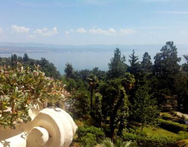 Villa Eugenia - 17