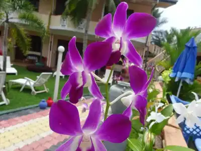 Hilda Guest House - 44
