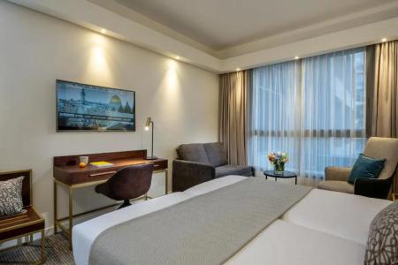 Olive Tree - 50