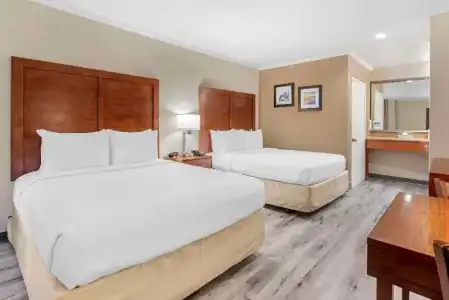 Comfort Inn Santa Monica - West Los Angeles - 51