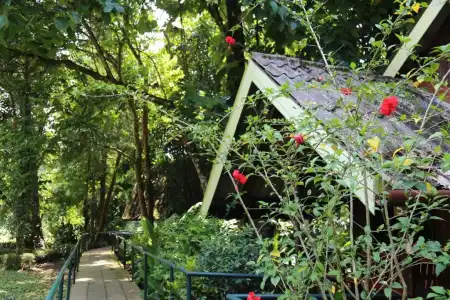 Khao Sok Riverside Cottage - 84