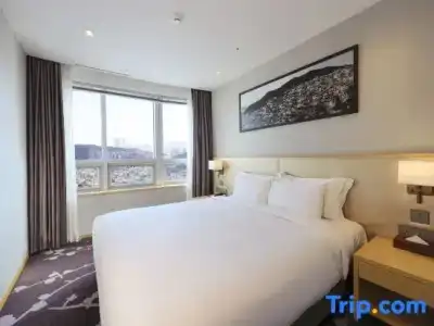 Avani Central Busan - 59
