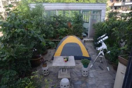 Dream Garden B&B - 13