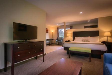 Sun & Ski Inn and Suites - 100