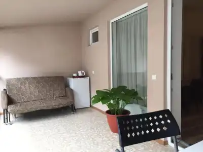 公寓 საოჯახო სასტუმრო “Borjomi Guest house“ - 26