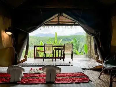 Khaosok Boutique Camps - 63