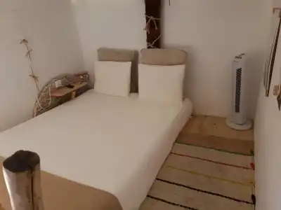 Cactus Host - 41