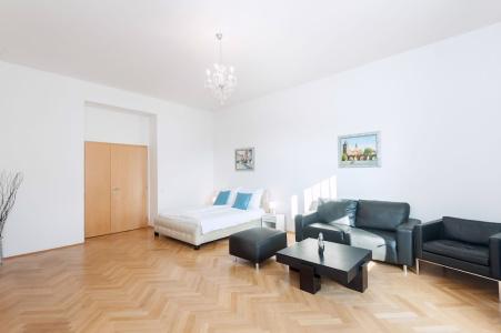 Slovansky Dum Boutique Apartments - 5