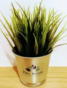 The Resto - 33