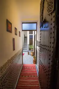 Riad Taha - 14