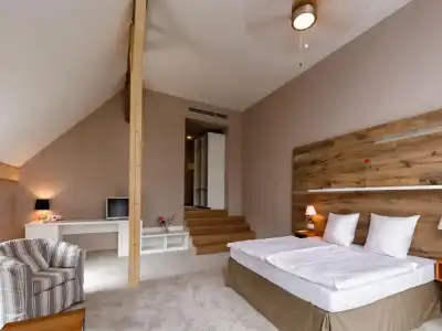 Cihelny Golf & Wellness Resort - 33