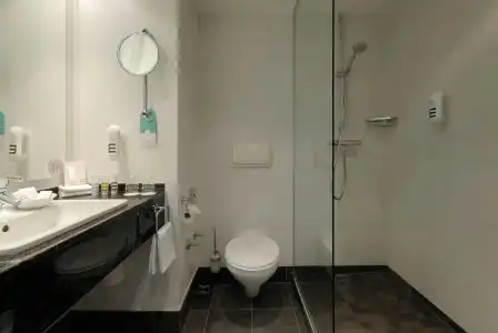 Mercure Koblenz - 10