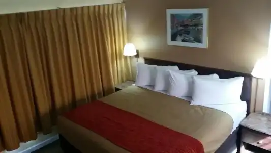 The Palms On Ocean - 25