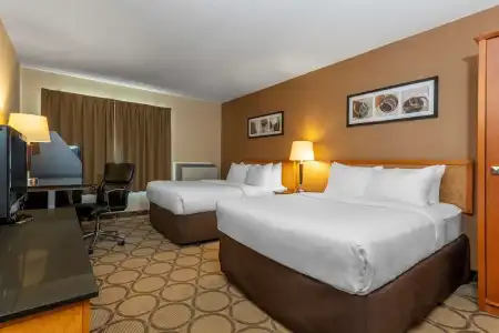 Comfort Inn Laval - 55