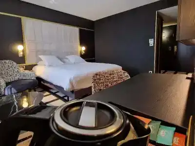 Mercure Orléans Centre - 77