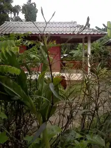 Sarm Mork Guesthouse - 16