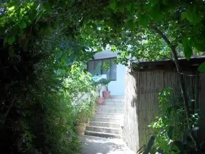 X Hostel Varna - 5