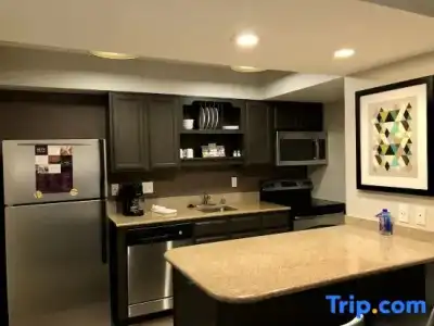 Residence Inn by Marriott Seattle Bellevue - 84