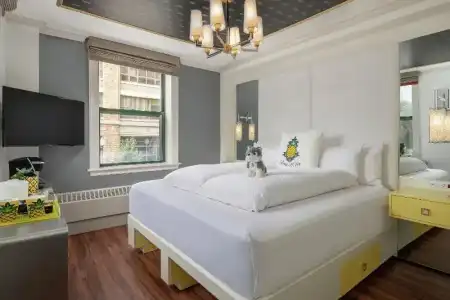 Staypineapple, A Delightful, South End - 32