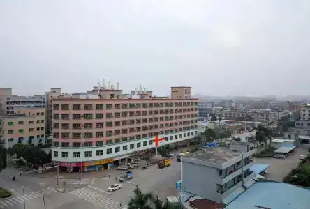 Vienna International (Dongguan Shijie) - 6