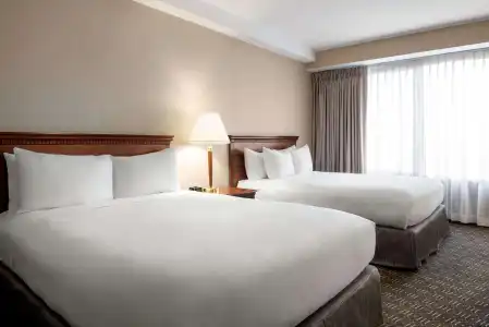 Wyndham Springfield City Centre - 33