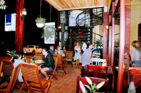 Le Gecko - 18