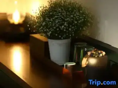 Xuanlan Xiaozhu Holiday Hostel - 116