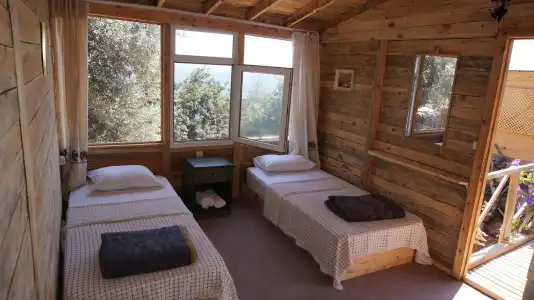 Shiva Camp - 4