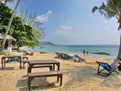 Thaniza Beachfront Resort - 10